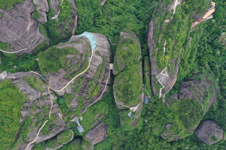 High angle view of trees