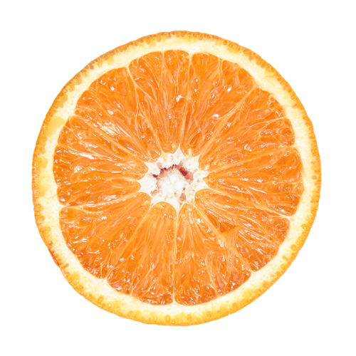 Orange slice against white background
