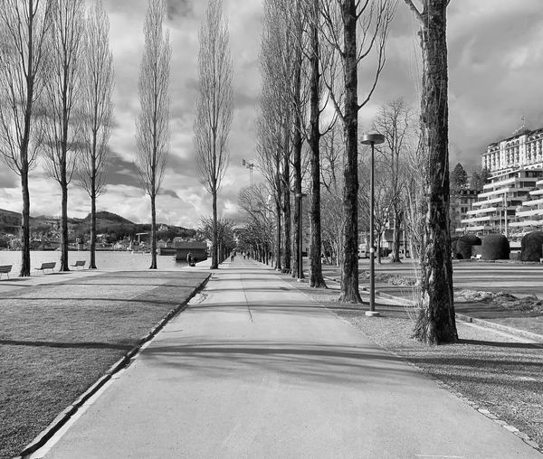 Road amidst trees in city against sky