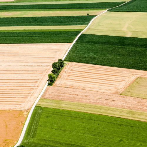 Aerial view of green landscape