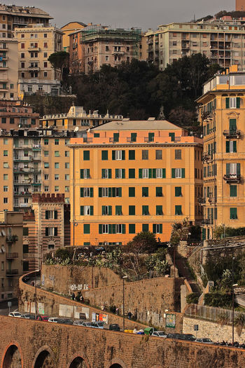 Buildings in city