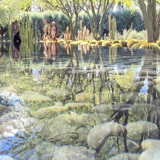 Close-up of water