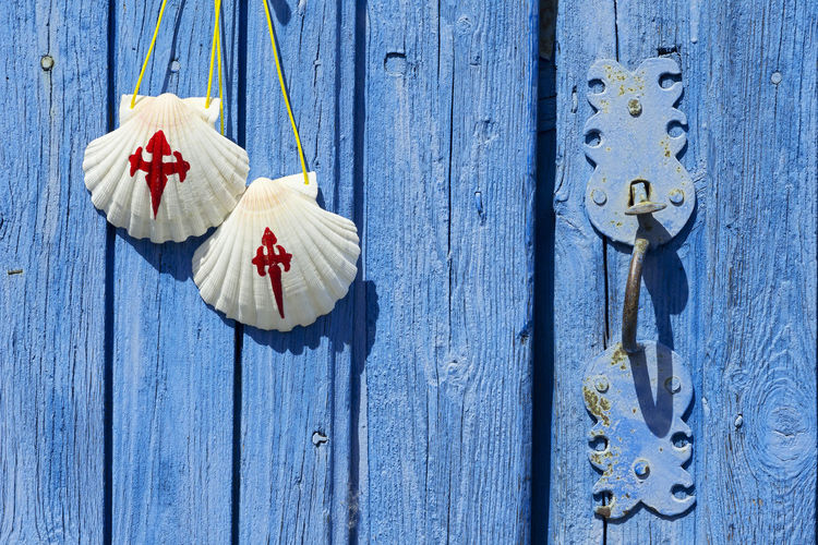 Pilgrim scallop shells on blue wooden door