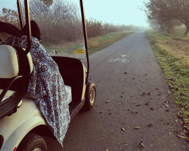 Boy sitting in golf cart on road
