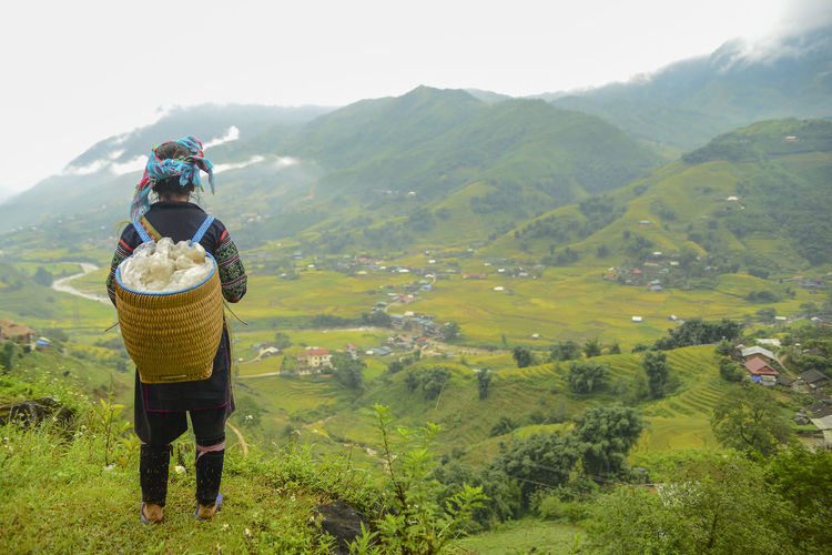 Rear view of woman with basket looking at mountains