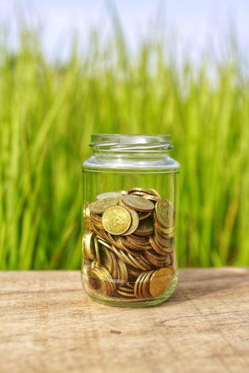 Close-up of coins in jar on table against grass