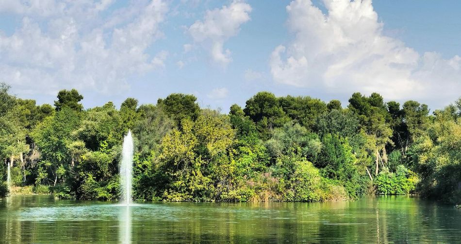 Panoramic view of trees in lake against sky