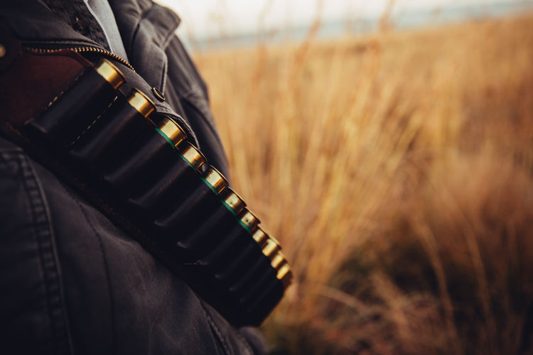 Shotgun cartridges in cartridge belt