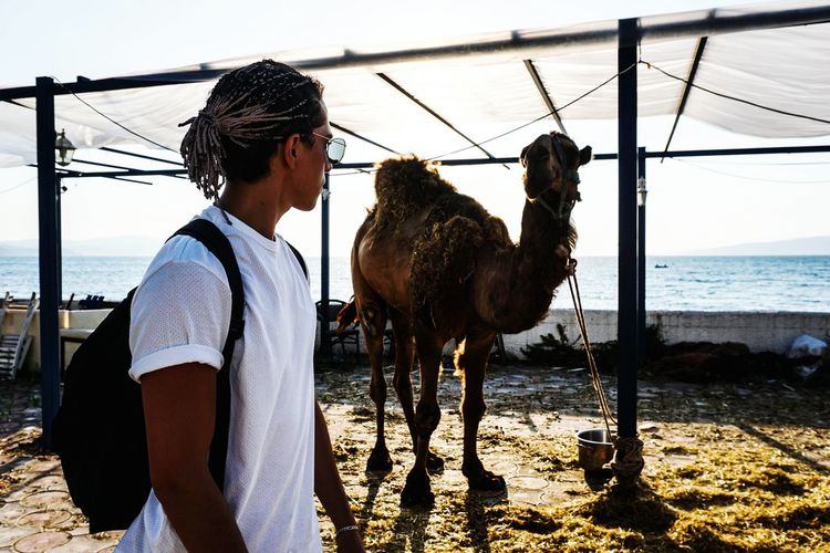 Man looking at camel against sea