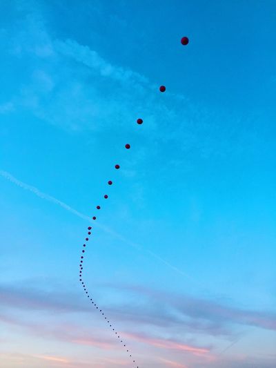 Low angle view of balloons flying in sky during sunset