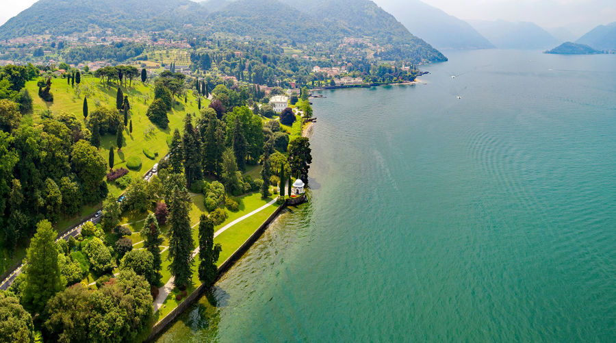 High angle view of sea and trees