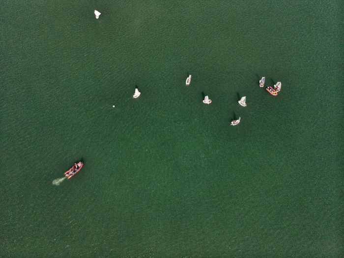 High angle view of sail boats in water