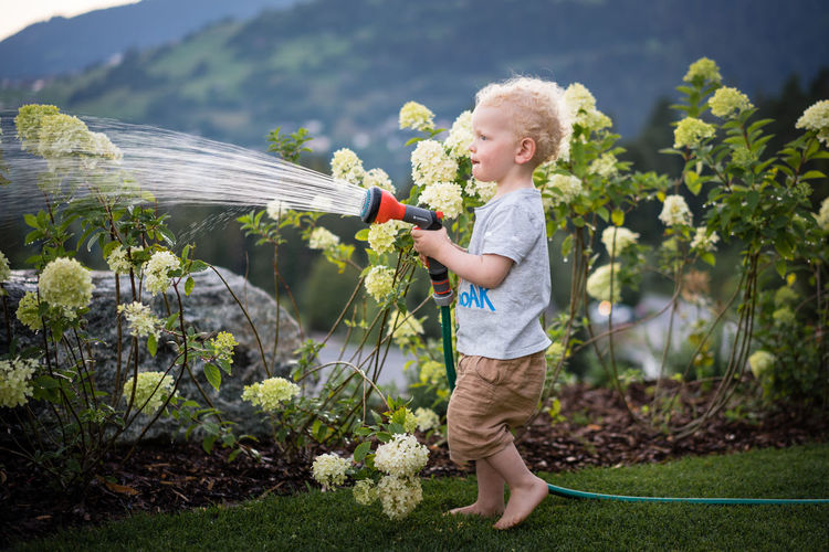 A boy standing barefoot on the grass watering hydrangeas