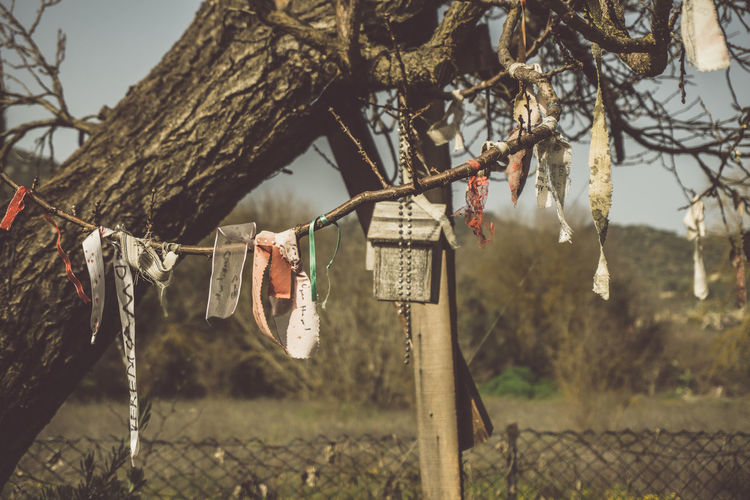 Close-up of clothes hanging on rope against trees