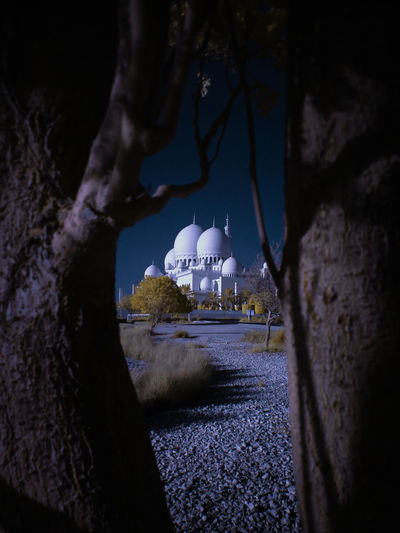 Grand mosque in infrared