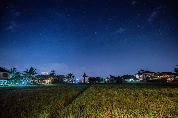 Scenic view of field against sky at night
