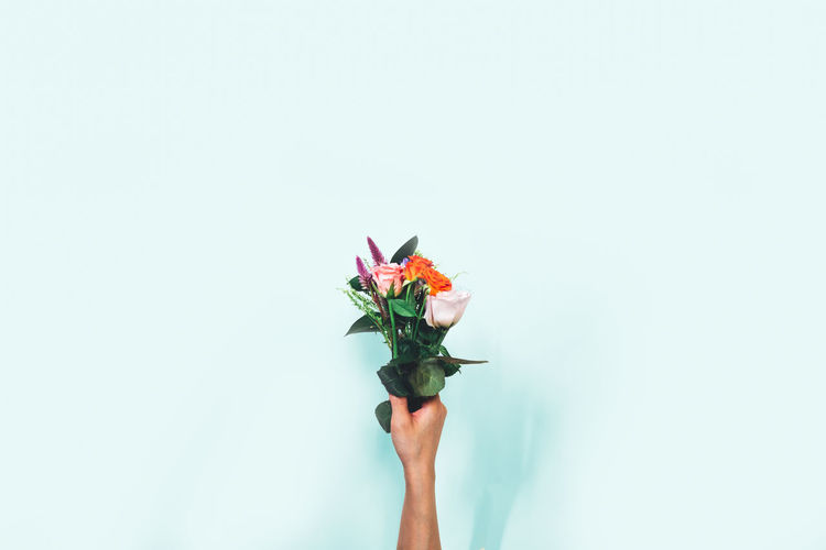 Hand holding flowers over white background