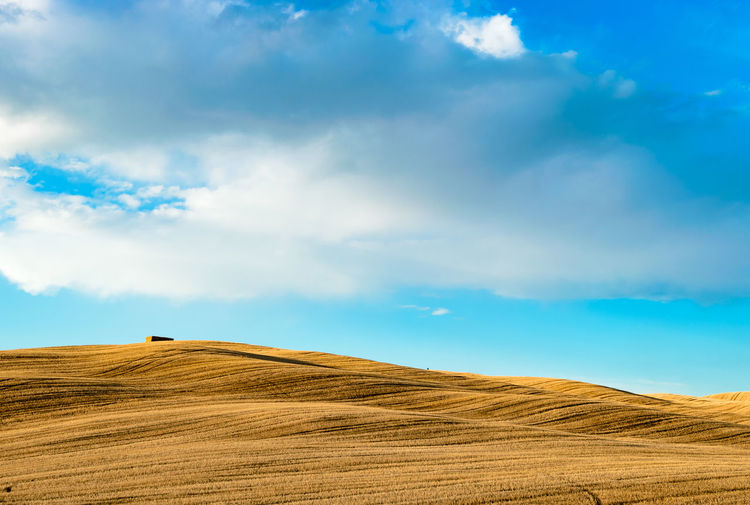 Scenic view of agricultural field against sky
