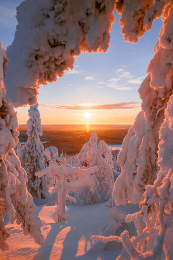 Scenic view of snow covered land during sunset
