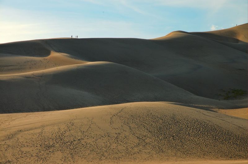 Idyllic shot of sand dunes in desert