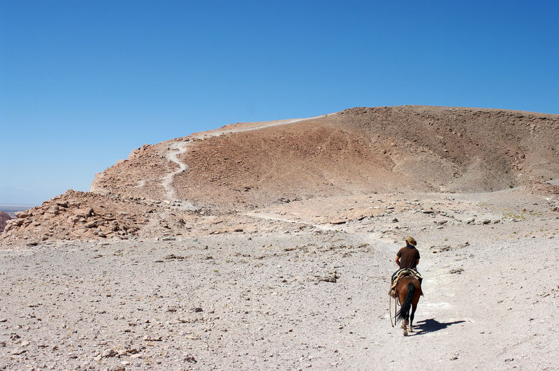 Rear view of man riding horse at desert