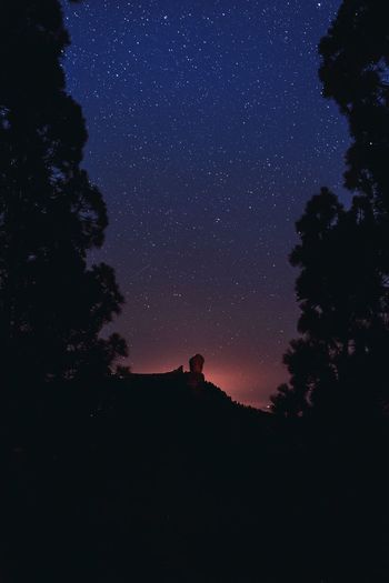 Low angle view of silhouette trees and roque nublo against sky at night
