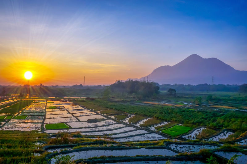 Scenic view of field against sky during sunset