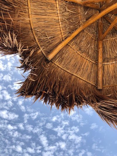 Low angle view of thatched roof parasol against sky