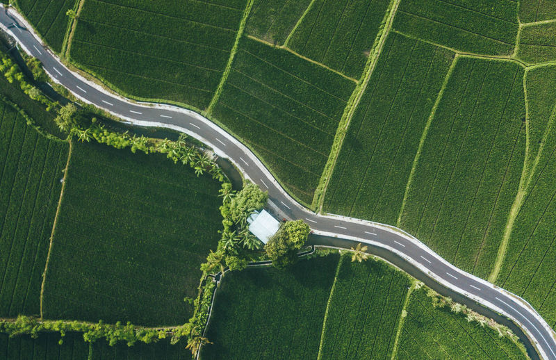 Aerial view of road and agricultural field
