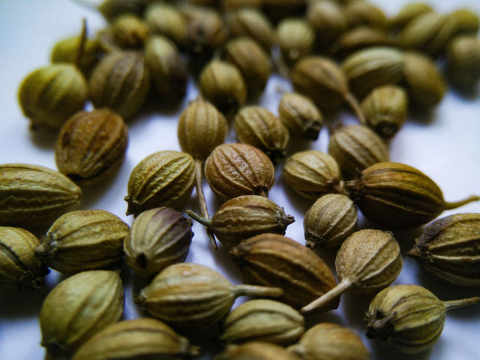 Close-up of coriander seeds