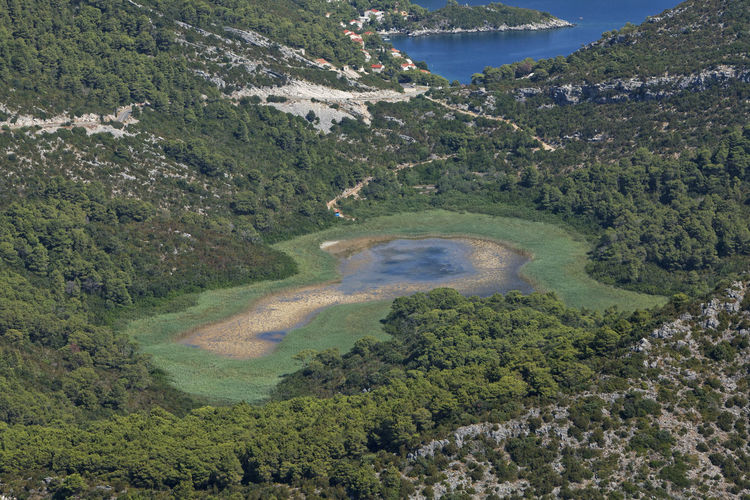 Aerial view of brackish wetland on mljet island, croatia