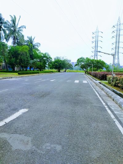 Empty road along trees and plants in city
