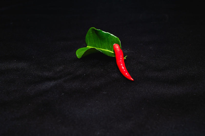 Close-up of red chili pepper against black background