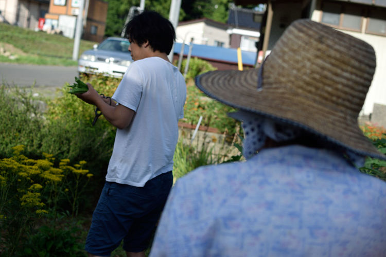 Rear view of boy holding plants