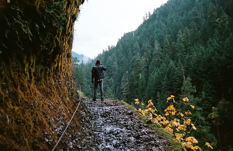 Rear view of men walking on path through trees against sky