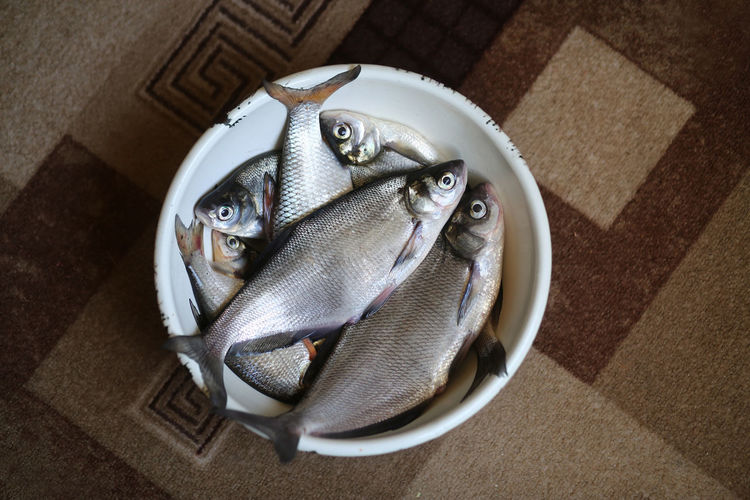 Flat lay of a bowl with freshwater river fish carassius