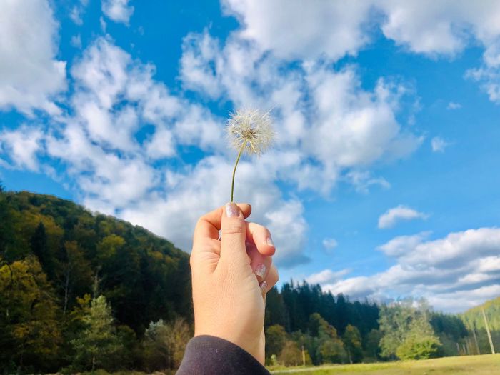 Cropped hand holding dandelion against sky
