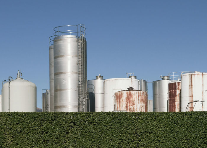 Panoramic shot of corn field against sky