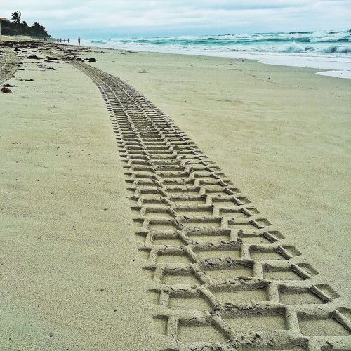 Scenic view of beach