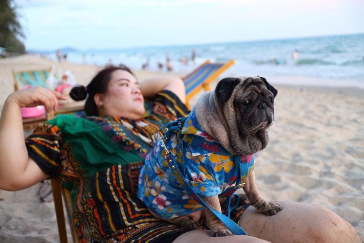 Woman with pug sitting on chair at beach