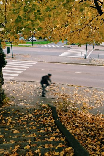 Shadow of person on road during autumn