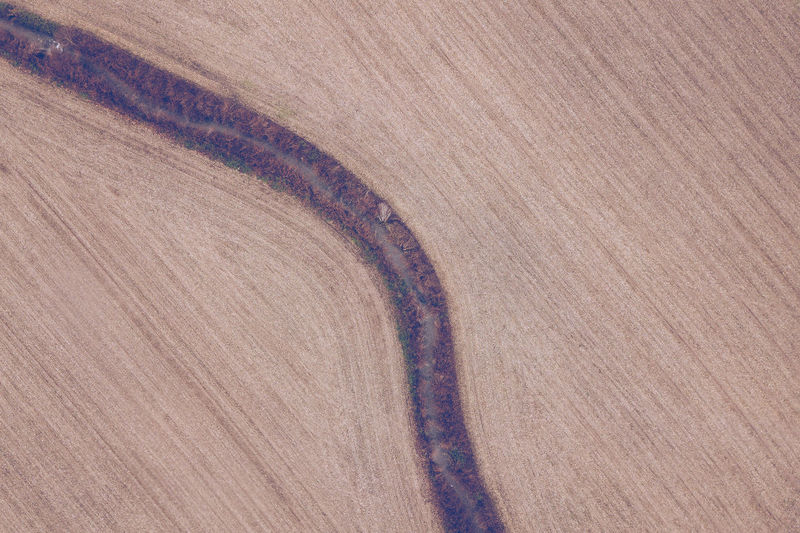 High angle view of footpath on agricultural field