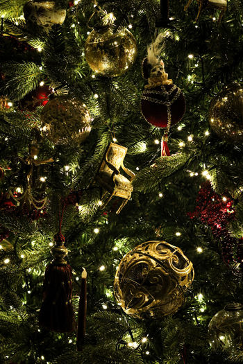 Low angle view of illuminated christmas tree