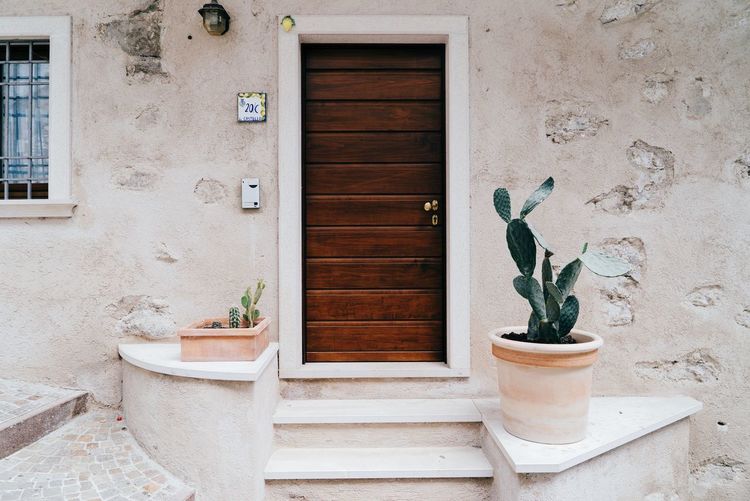 View of plants growing on wall