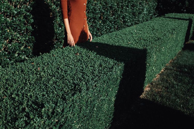 Midsection of woman standing amidst hedges at park