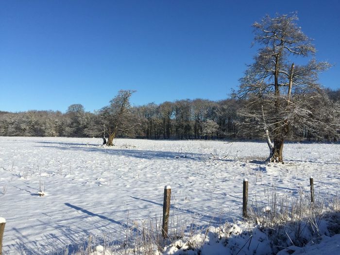 Snow covered field against clear sky