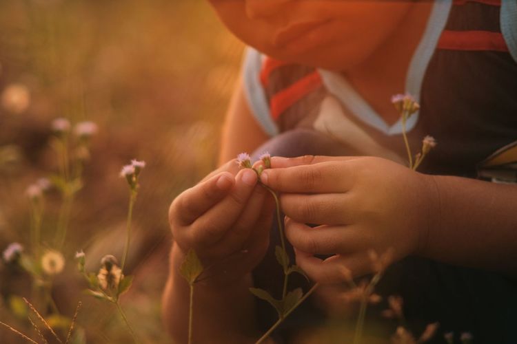 Midsection of boy holding flowers while crouching in park during sunset