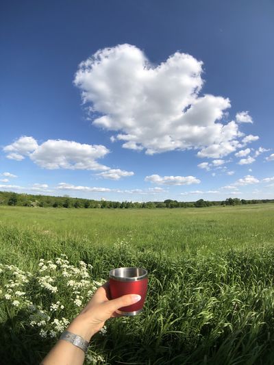 Hand holding glass of field against sky