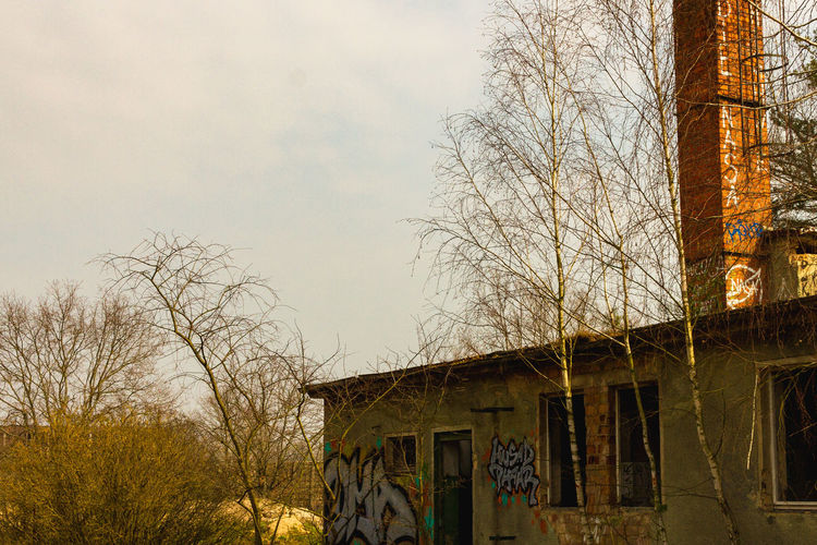 Low angle view of bare tree and building against sky