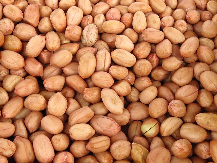 Peanut is an important economic crop